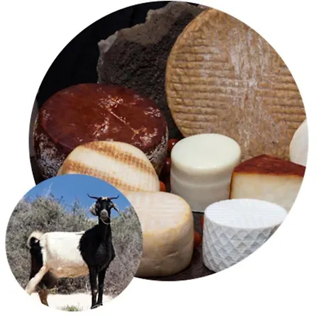 아파트 Casa Mae 칼레타데푸스테