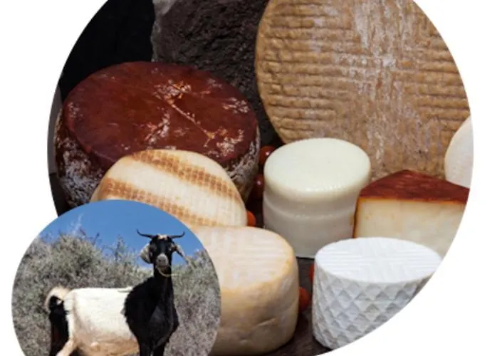 公寓 Casa Mae 科斯塔卡莱塔